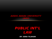 PUBLIC_INTL_LAW.pptx